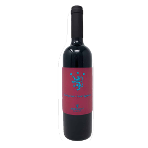 Cabernet Sauvignon Friuli DOC 2023 ANTONUTTI