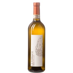 Gavi la Fornace – Cantina Cinzia Bergaglio